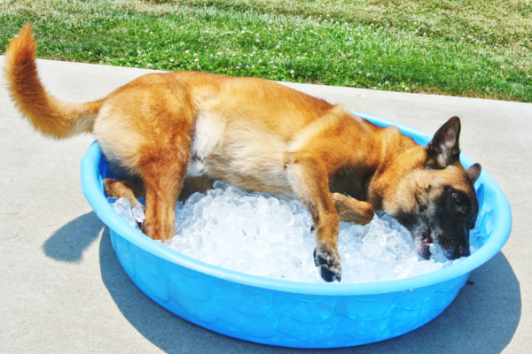 Heat extraction is essential to keep yourself cool!